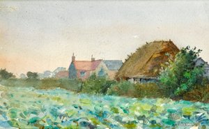 Gewassen op een veld